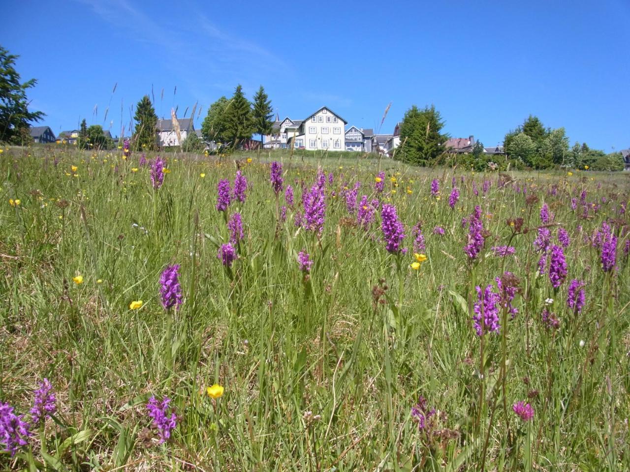 Hotel Schoene Aussicht 마써베르크 외부 사진